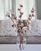 Dried Cotton - Flower Station Dubai