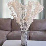 Dried Italian Ruscus - Flower Station Dubai