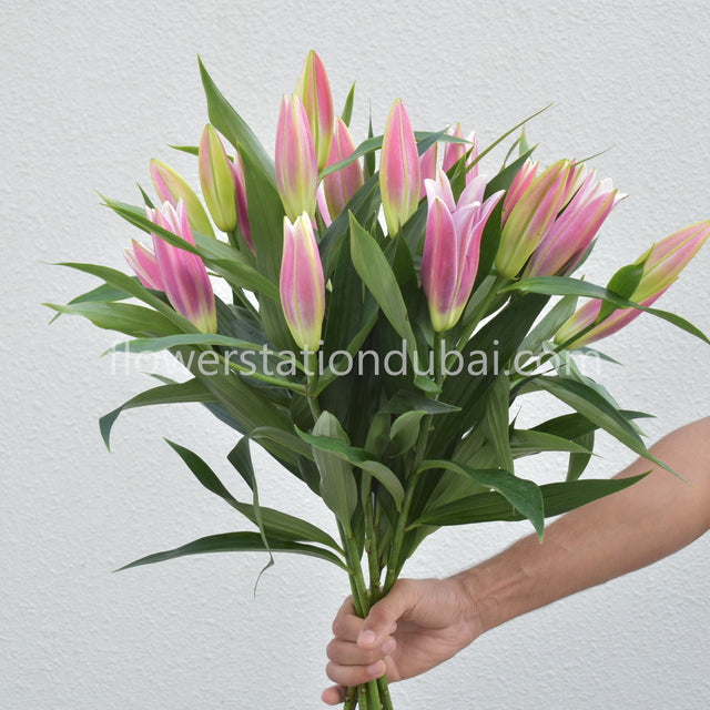 Lily - Monthly Subscription - Flower Station Dubai
